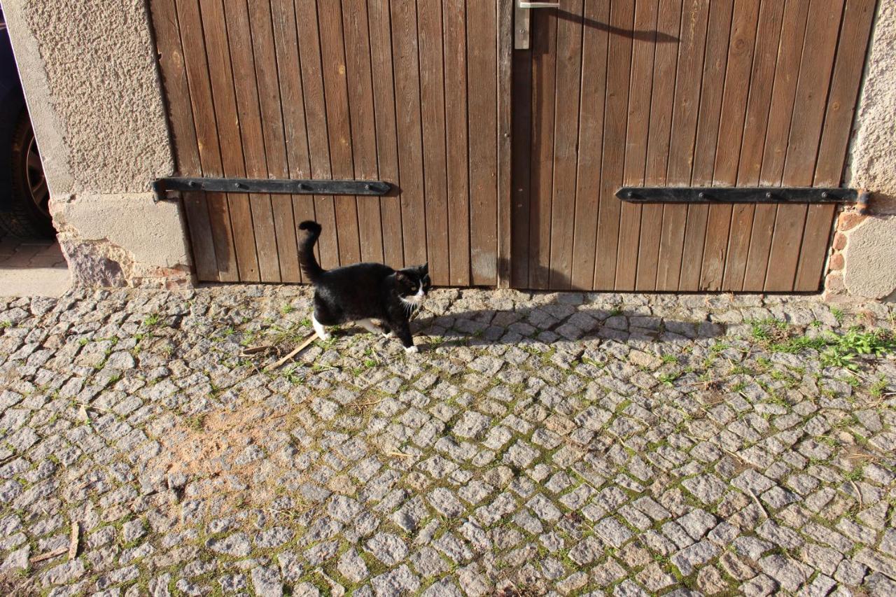 Ferienwohnung Beim Roessl Nossen Esterno foto